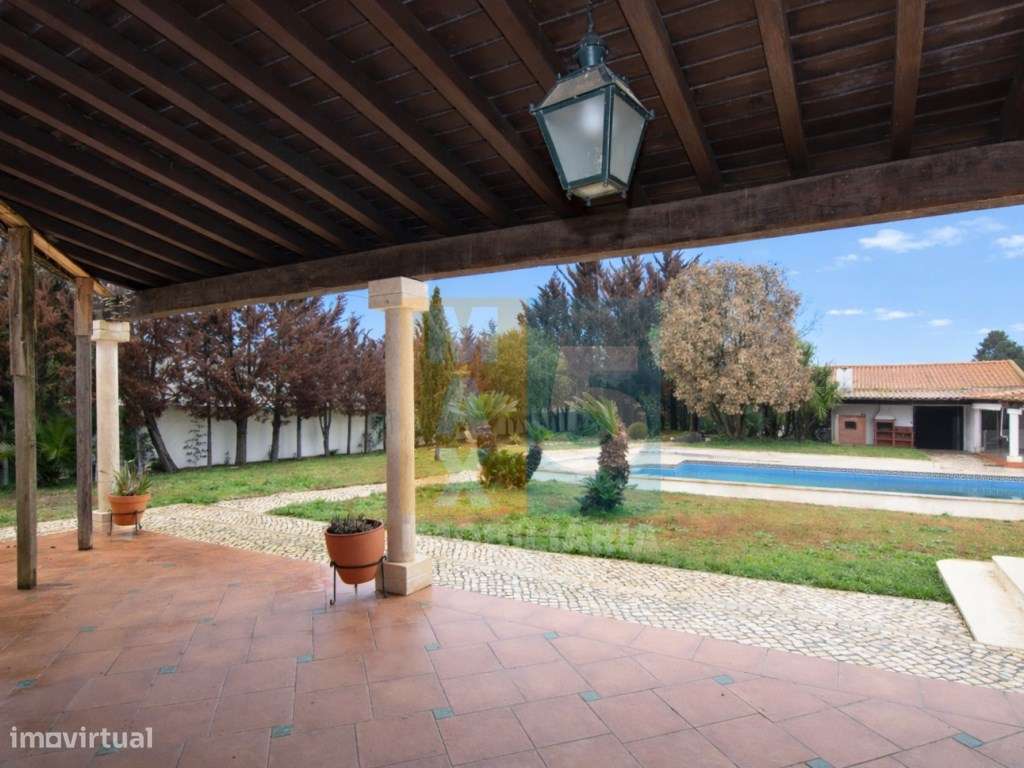 Quinta com 4.880 m2 - Alpiarça-34