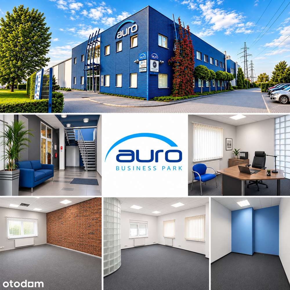 Lokal biurowy o powierzchni 225 m2