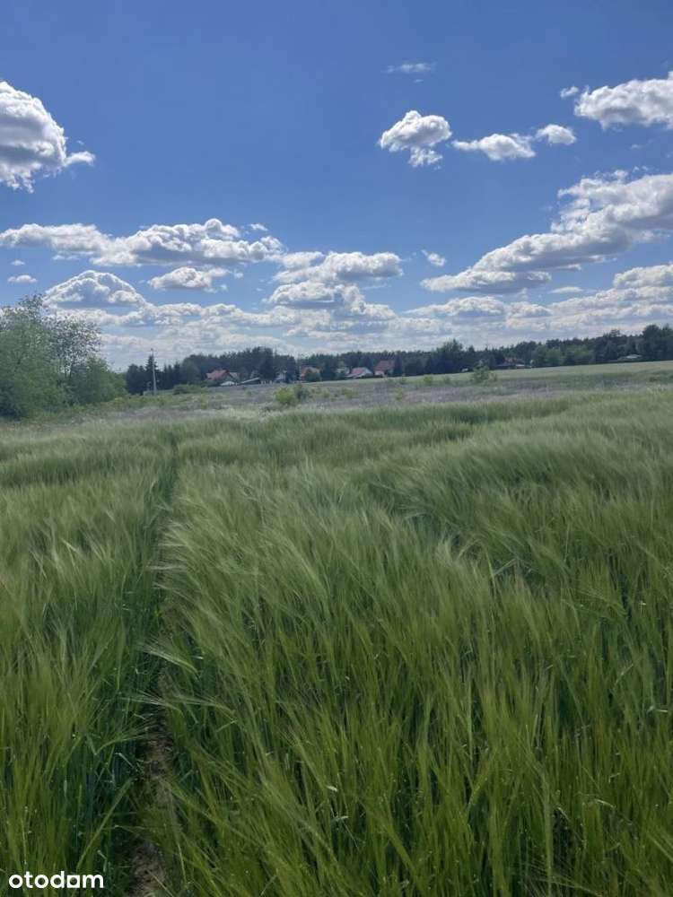 działka budowlana-6