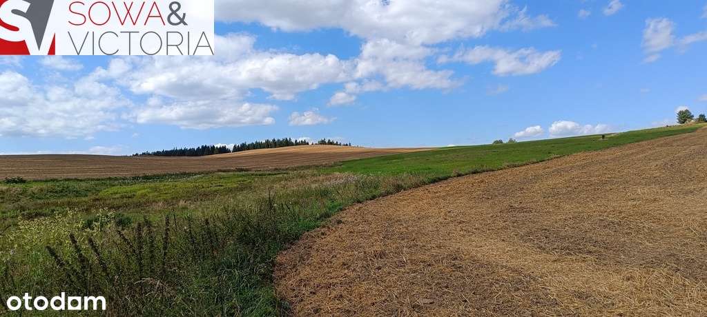 OKAZJA!!! Działka budowlana w Jabłowie - Pełny obrazek: 4/4