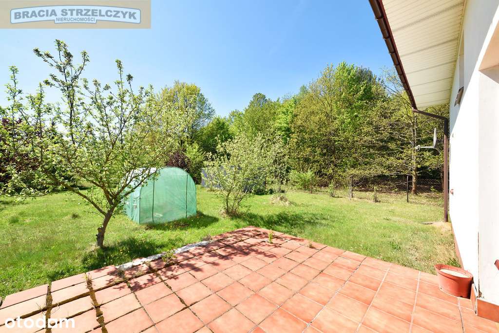 Dom dla amatorów leśnego mikroklimatu. - Pełny obrazek: 5/18