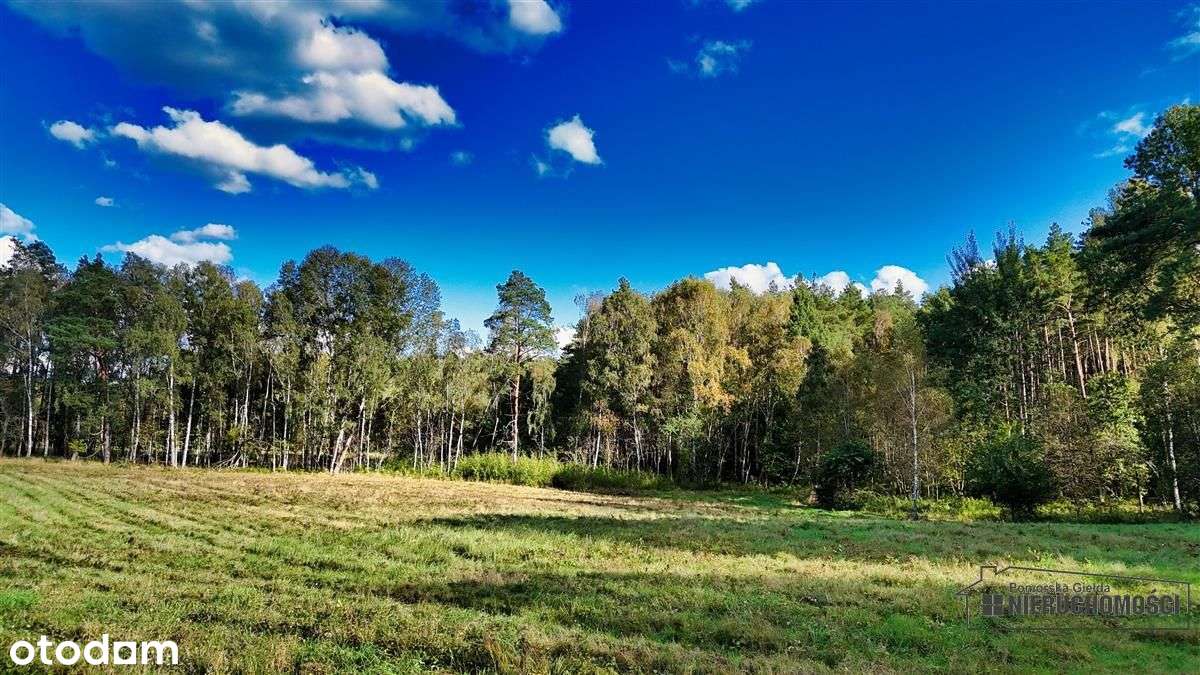 Pod Lasem Ok. 300 M Od Jeziora Pile - Dąbrowica --16