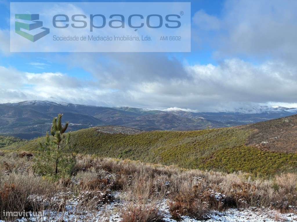 Magnifico Terreno - Grande imagem: 5/19