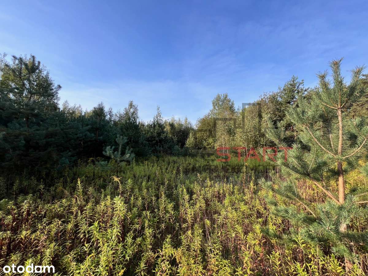 Działka rolna 2,84ha w Nosach, koło Ojrzanowa. - Pełny obrazek: 4/9