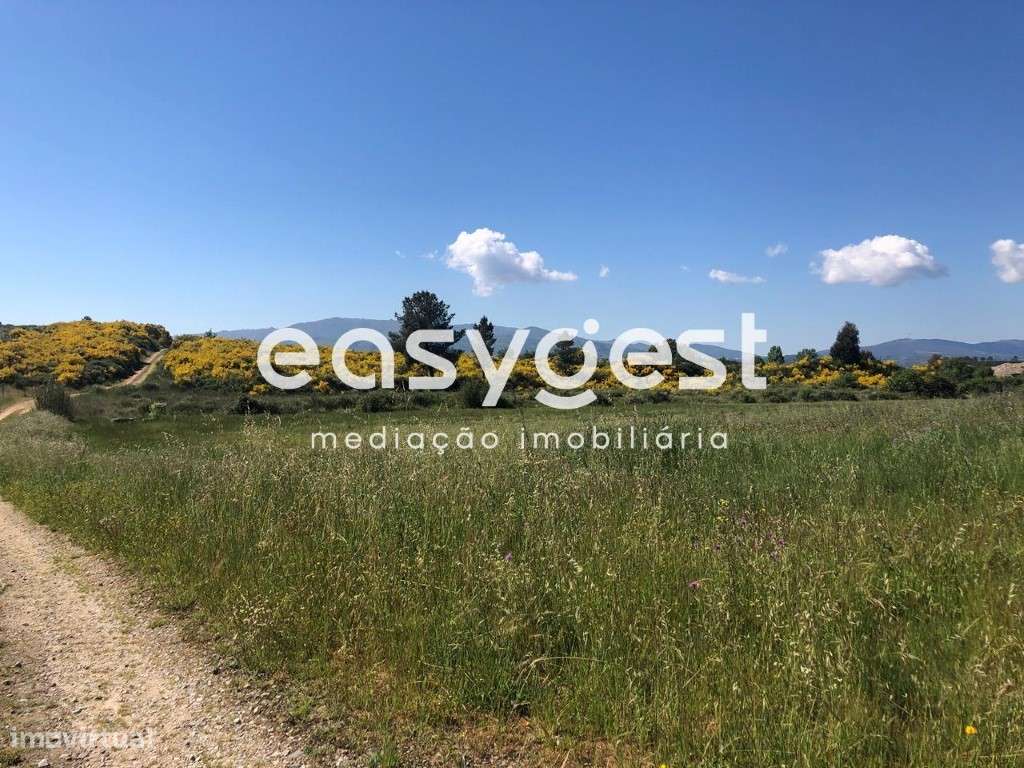 Terreno Rústico de 46800m2 com regadio e ruina localizado no Fundão - Grande imagem: 4/17