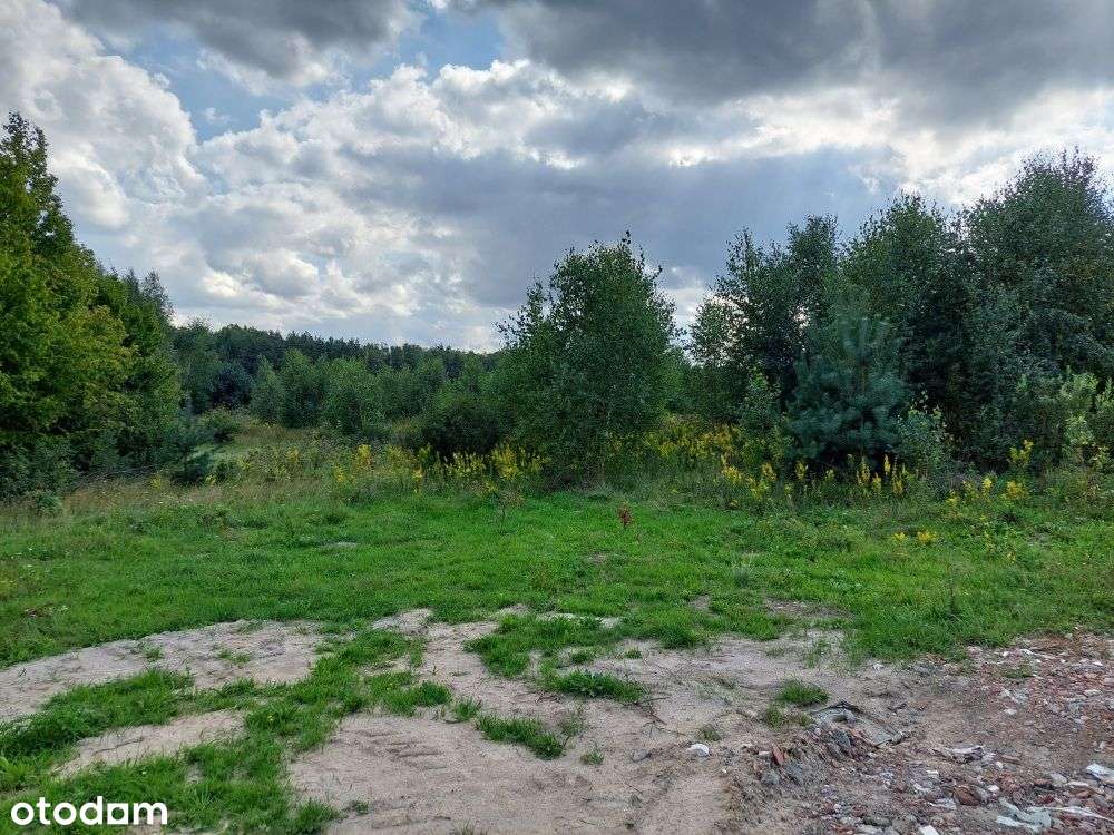 Działka w Błotni na sprzedaż-2