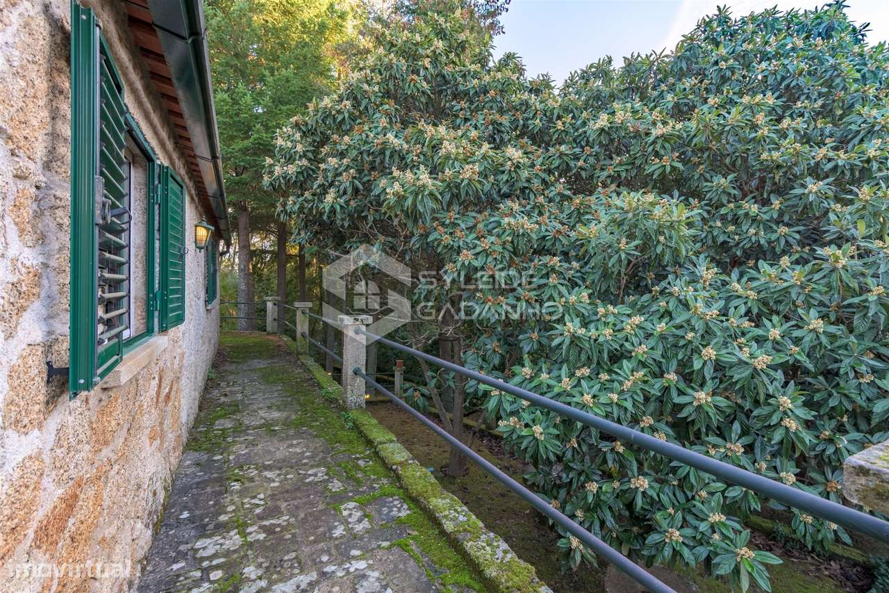 Quinta T3 Venda em Castelo Novo,Fundão-52