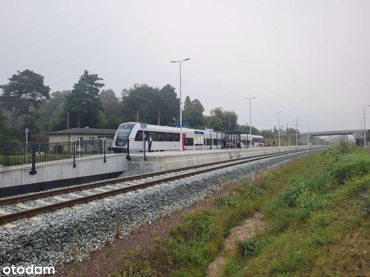 PKM 600 m|Las|Blisko S7 i Obwodnicy |Możliwość zakupu 3 działek-0