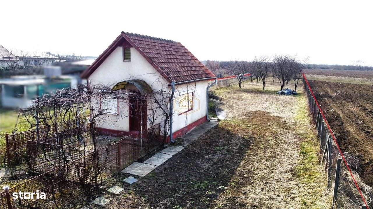 VIDEO | Teren generos, cu livada si casa de vacanta in Satu Mare - Imagine principală: 4/10