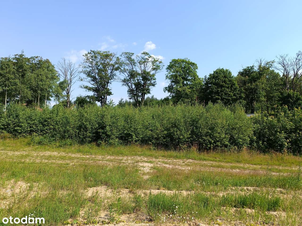 Leśniewo k. Pucka - Szkoła 500m, Sklep 750m - Pełny obrazek: 3/7