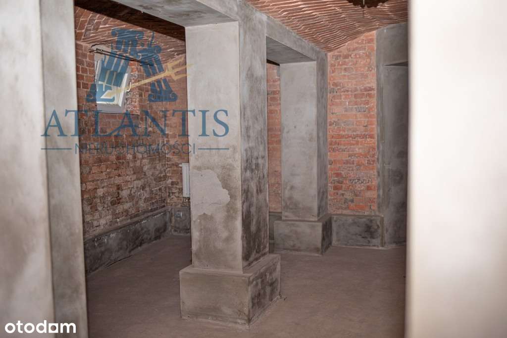 Lokal użytkowy blisko parku i centrum miasta - Pełny obrazek: 4/10