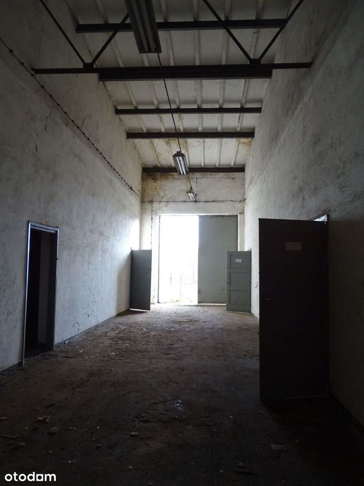 Pomieszczenia użytkowe do wynajęcia w Pile - Pełny obrazek: 4/4