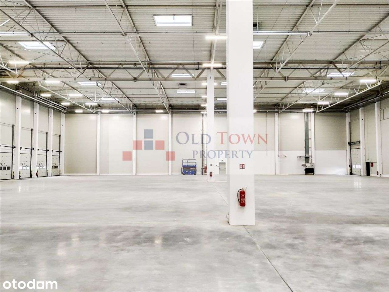 Hala magazynowa klasy A Niemce 8892 m2 - Pełny obrazek: 3/6