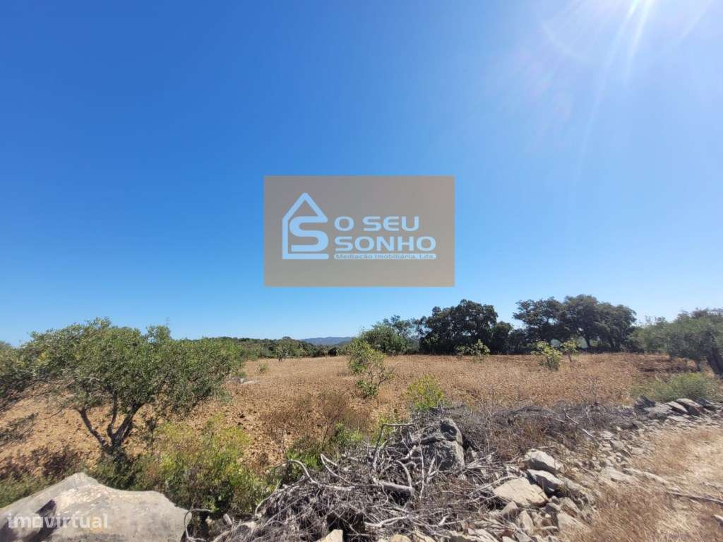 Terreno Rústico Plano - 4.980 M² - Grande imagem: 4/11