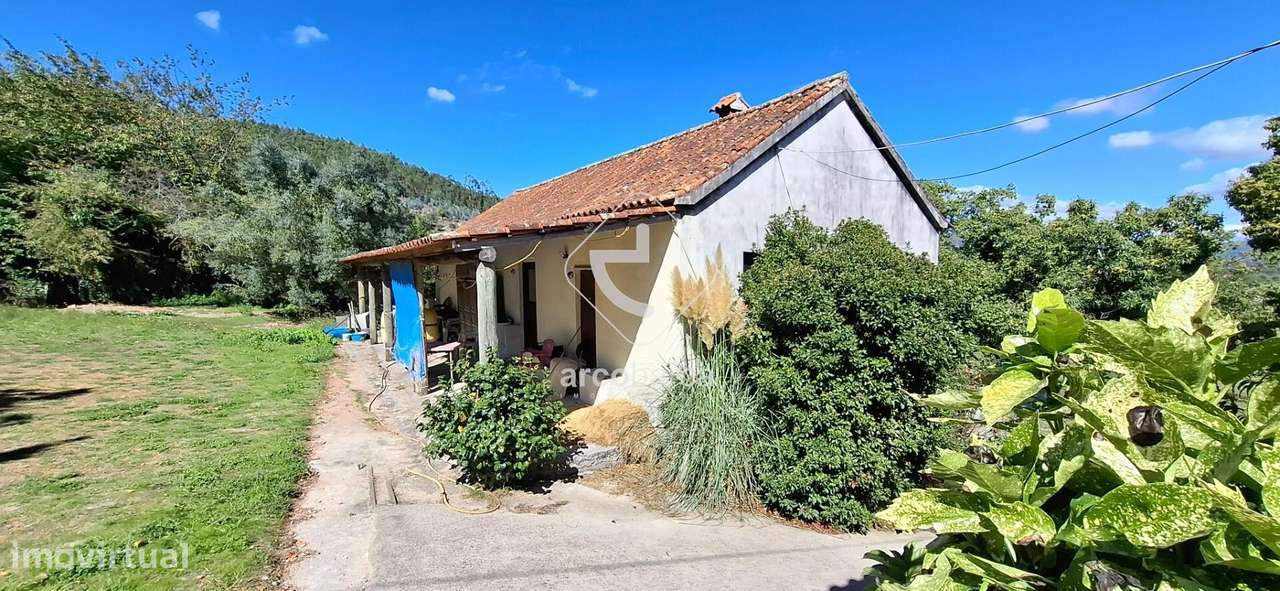 Quinta Agricola de 6Hect. c/casa T3 em Calvelo - Ponte de Lima-9