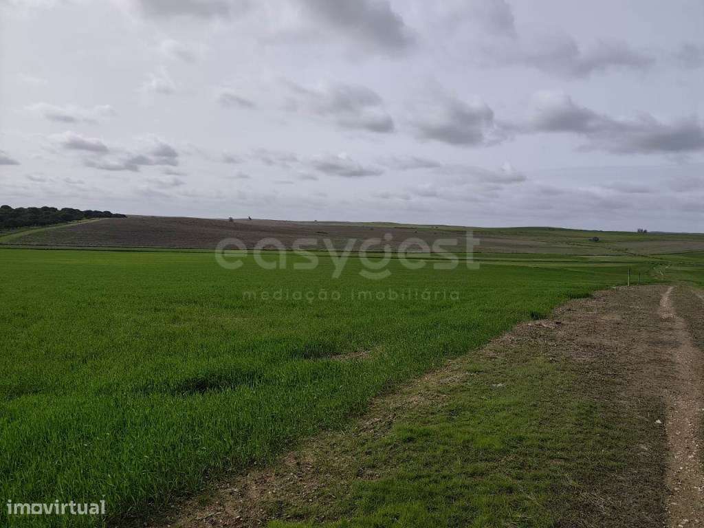 Terreno Rústico com área total de 93.875 m2, localizado na freguesi... - Grande imagem: 5/11