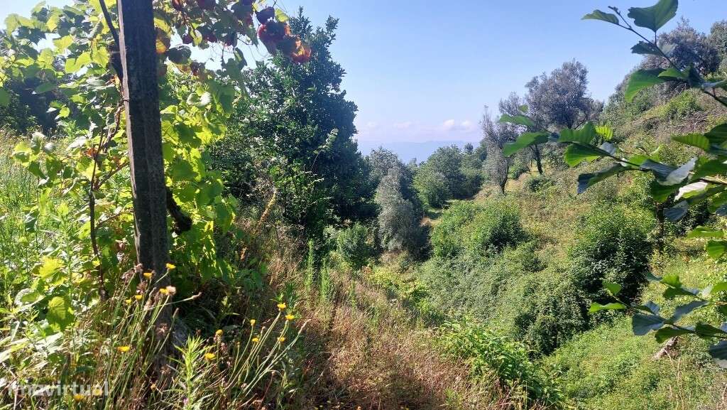 Terreno - Seramil - Grande imagem: 5/12