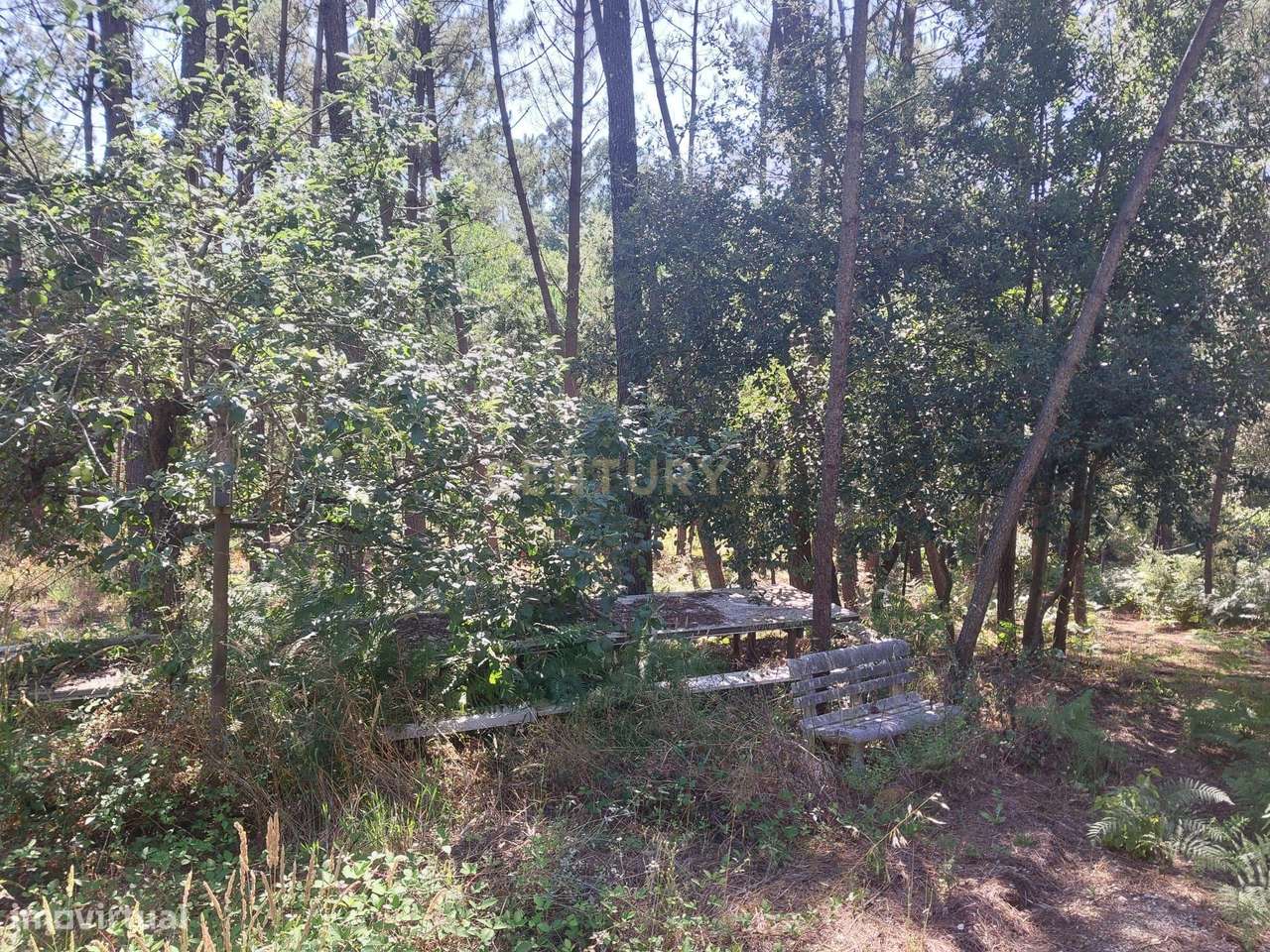 Terreno para construção - Grande imagem: 2/8