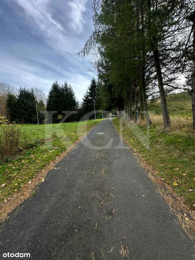 Działka w podgórskiej miejscowości Świeradów Zdrój-3