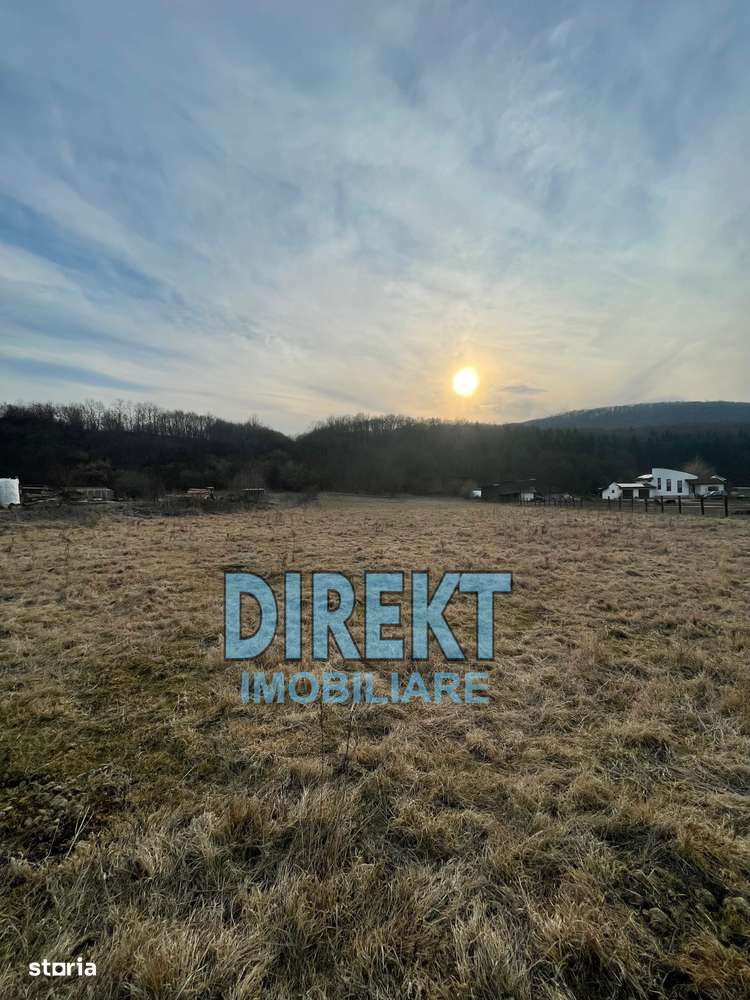 Teren de vanzare, localitatea Sirioara - Imagine principală: 2/2