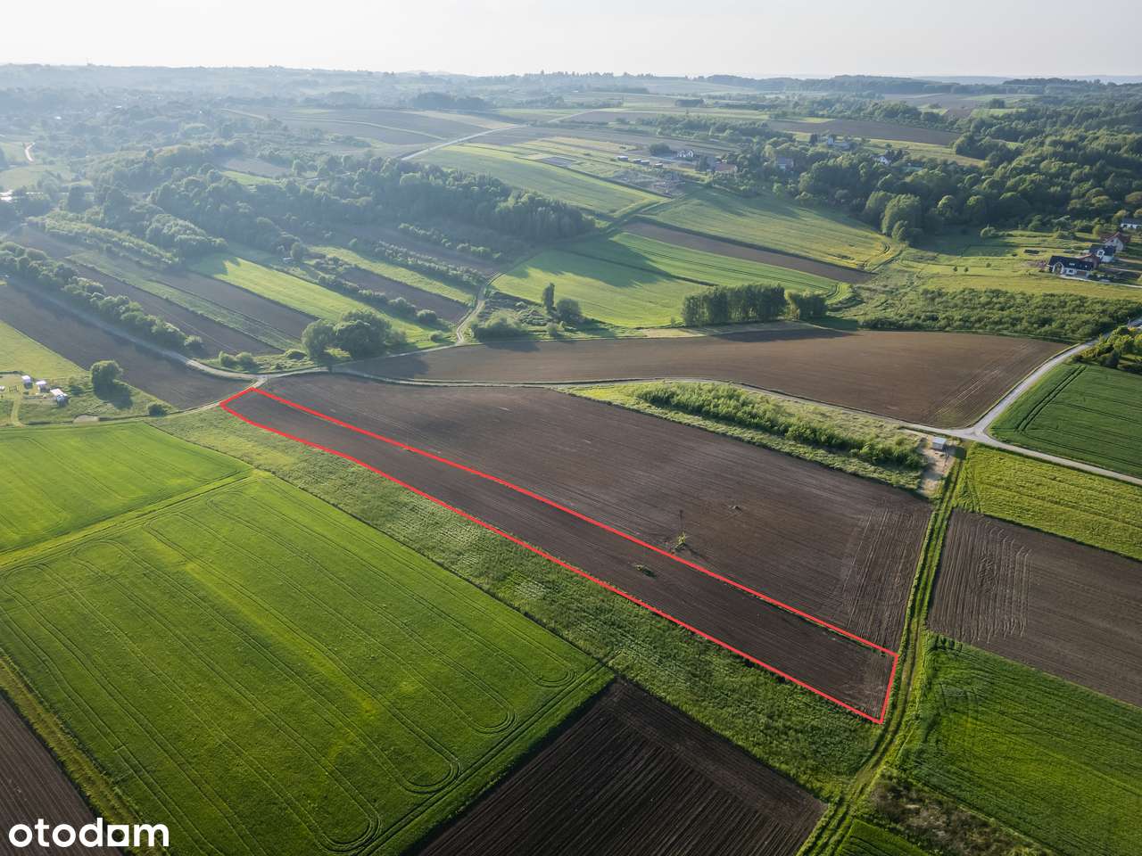 Rybna | Działka rolna | 54 ar | 0% PROWIZJI-3