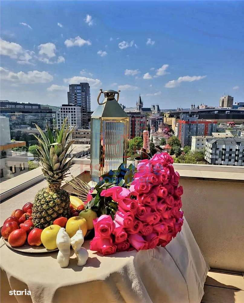 Penthouse cu vedere la Palat, de 266 mp-14