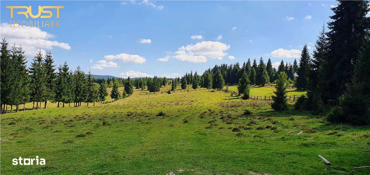 Oportunitare | Teren 1350 mp cu PUZ | Belis-1