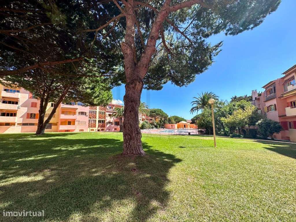 T3 - Quinta da Bicuda - Grande imagem: 4/24