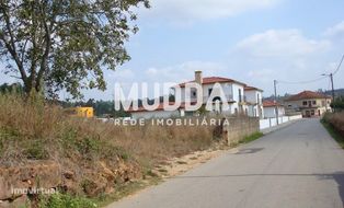Moradia p/Restauro em Alquerubim, Albergaria-a-Velha - Grande imagem: 5/11