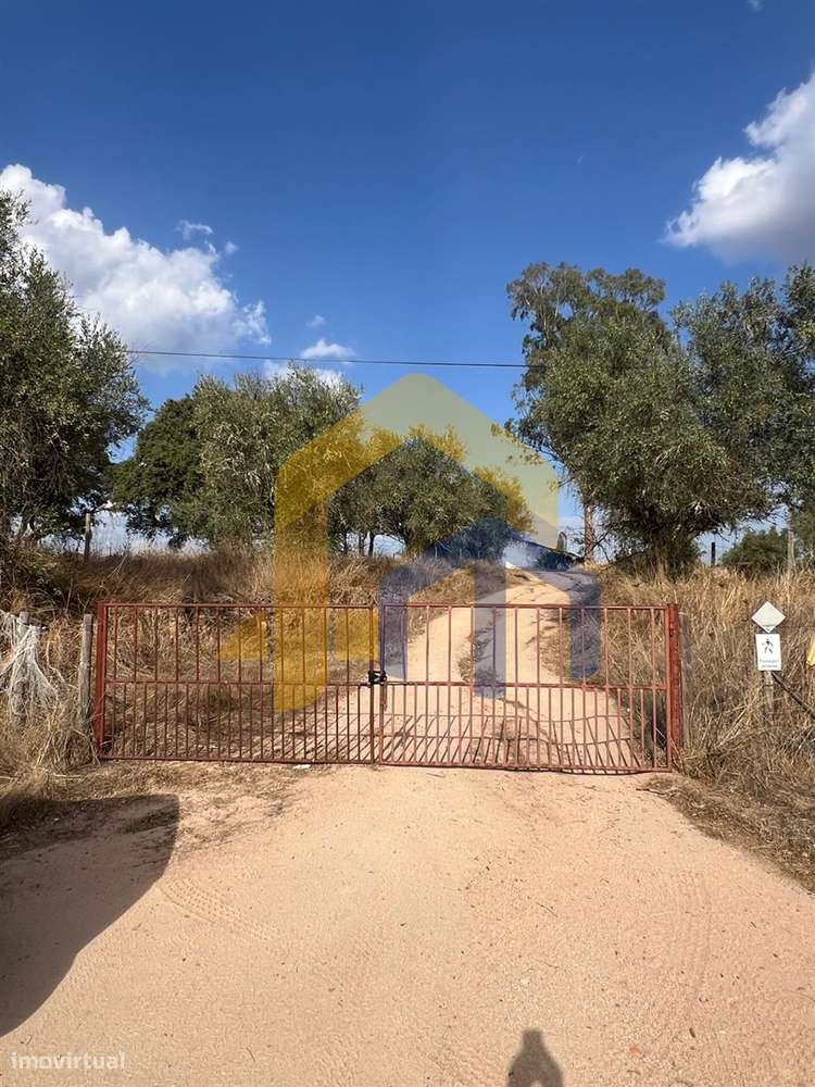 🏡 Quintinha em Monforte-20