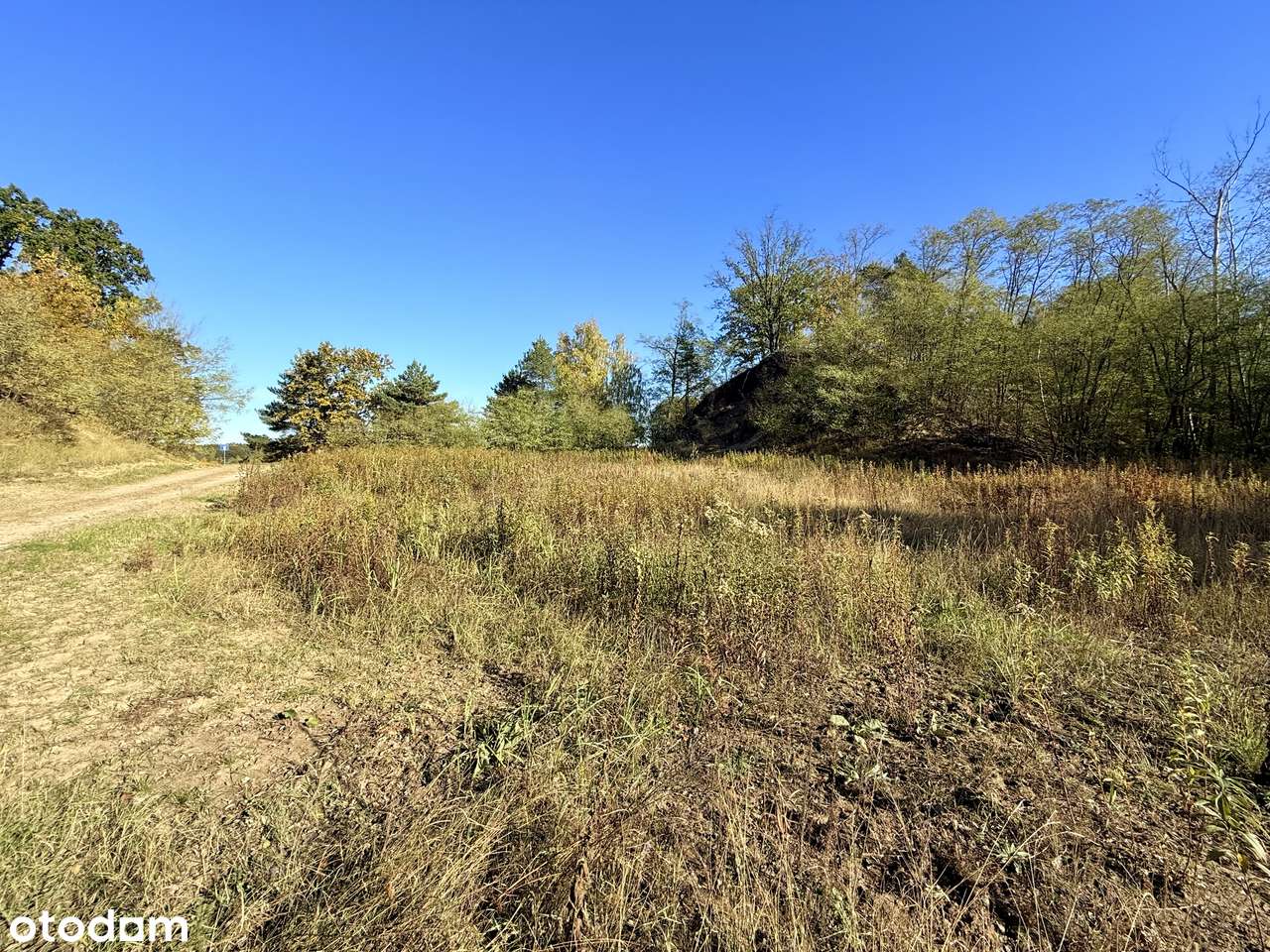 Działka 1983 m² w Józefowie, ul. Leśna – idealne miejsce na Twój dom-6