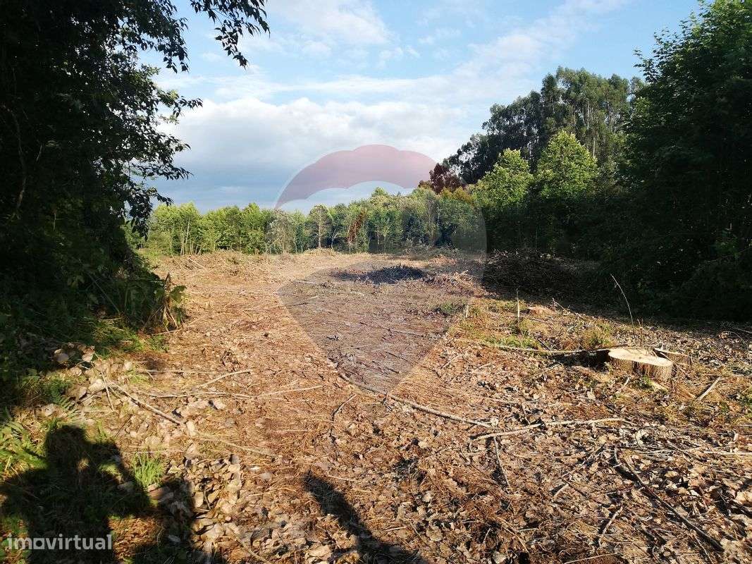 Terreno  para venda - Grande imagem: 5/12