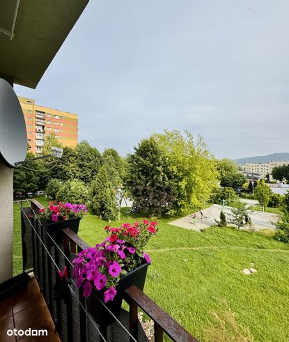 3 pokoje, po remoncie, 1. piętro, Bielsko-Biała-19