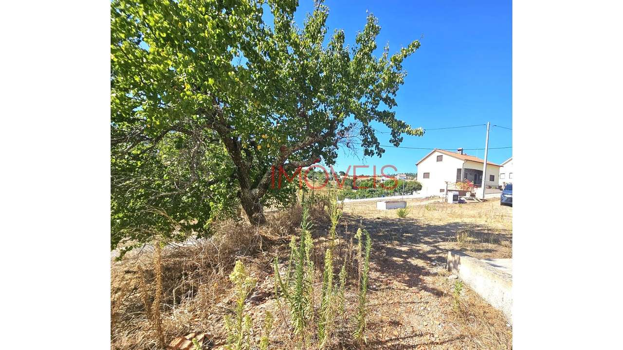 Moradia Rústica T2+1 Terreno com 3.480m2-31