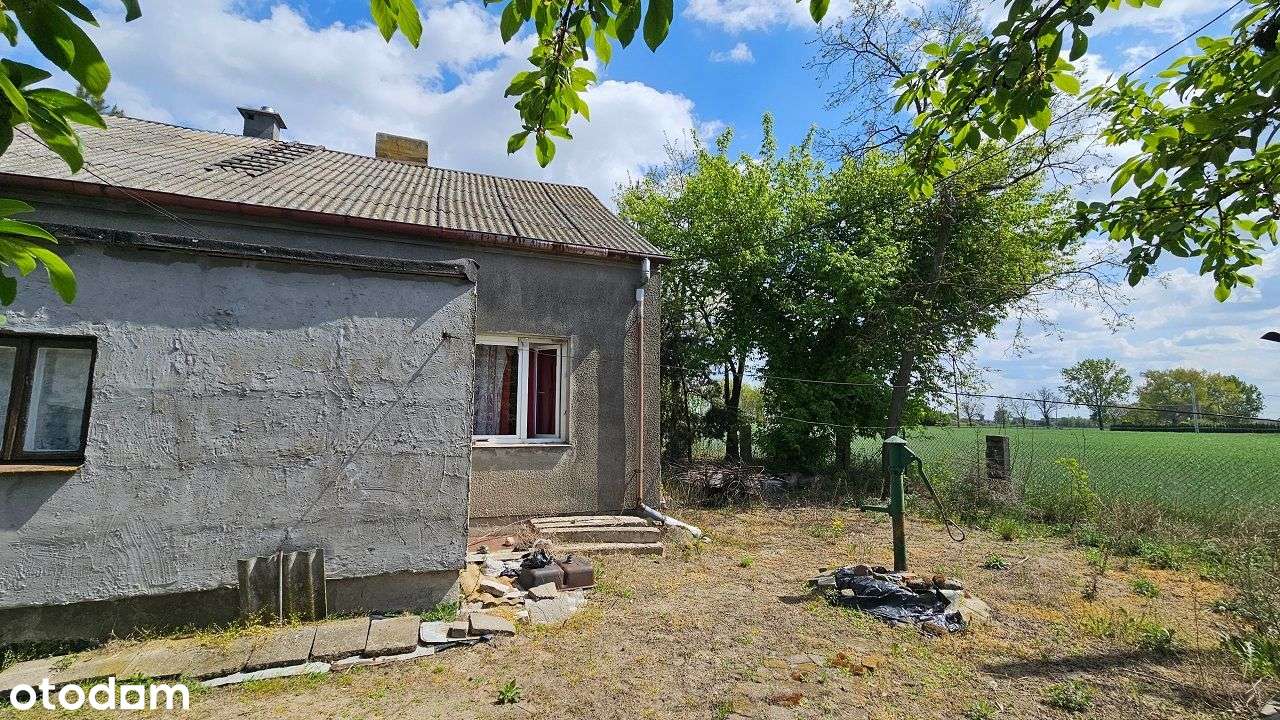 Siedlisko z potencjałem – Piotrków Kujawski, możliwość podziału-12