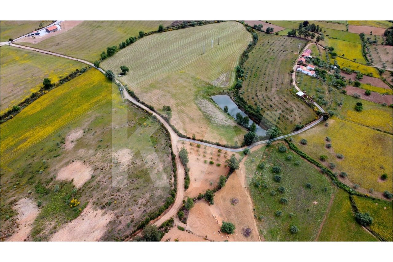 Quinta da Rapoula com 60000 m2 em Quintas da Torre no Fundão