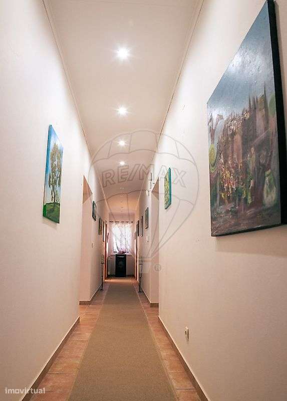 Quinta T10 para venda-17