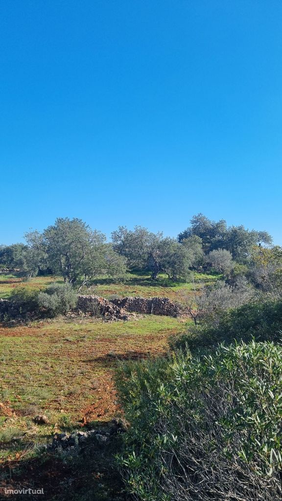 Terreno no Mouricão a 12min de Albufeira - DISPONIVEL