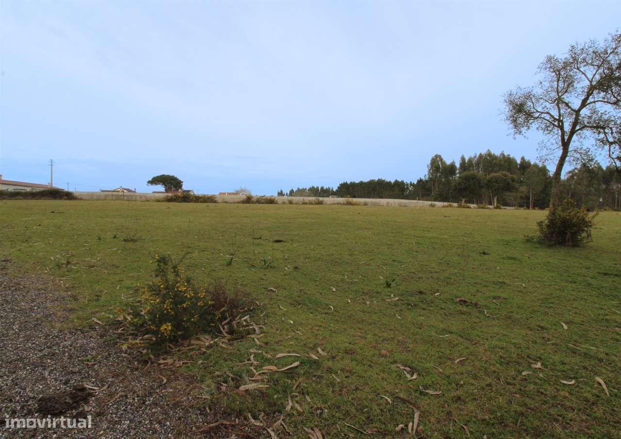 Quinta / Herdade / Terreno / Souto da Carpalhosa - Grande imagem: 5/7