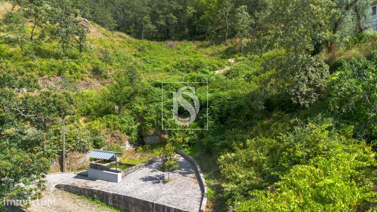 Terreno do Fontanário - Jazente - Grande imagem: 4/22