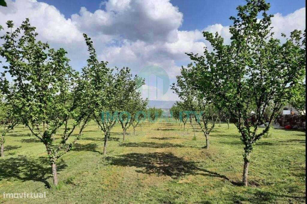 CASAS DE CHARME | REDONDELO | CHAVES-45