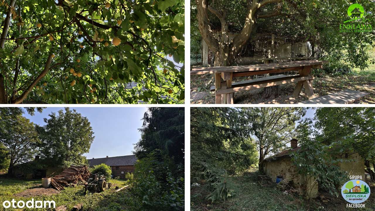 ENKLAWA prezentuje: TOTALNE odludzie! Poczuj prawdziwą WOLNOŚĆ! Zobacz-14