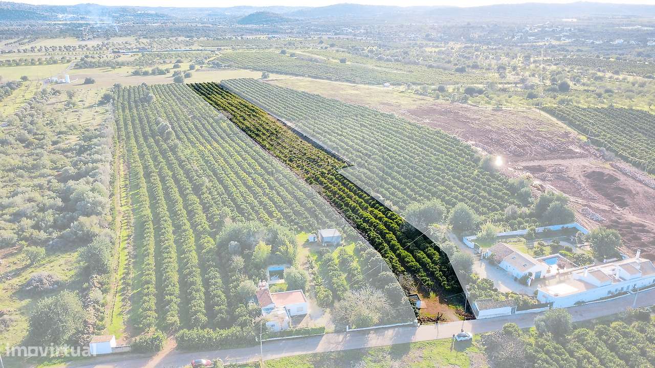 Terreno  para venda-5