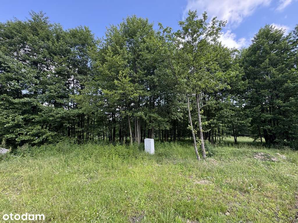 Działka w zielonej ciszy, tylko 5 minut od A4!-5