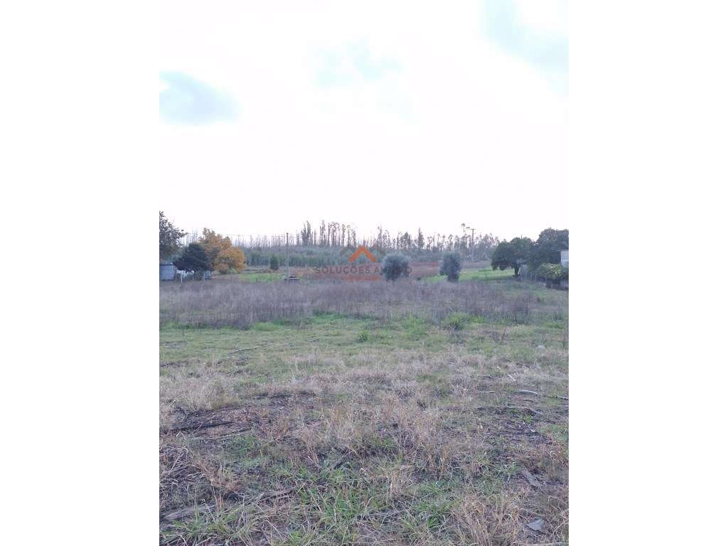 Terreno para construção-1