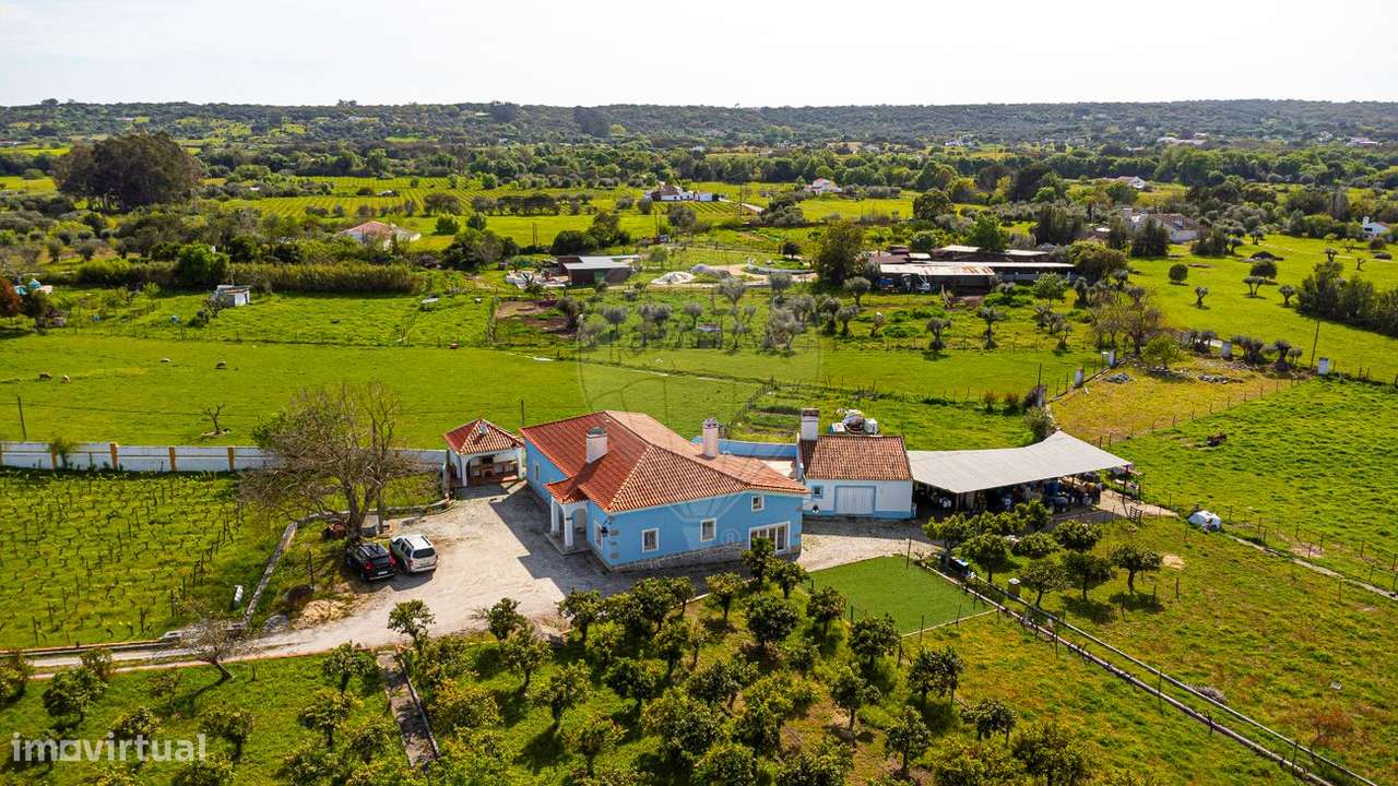 Quinta T4 para venda - Grande imagem: 4/50