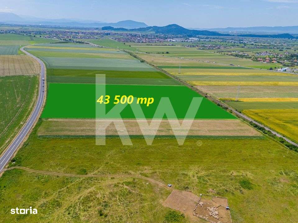 Teren de vanzare I 8 Euro/ mp I Deschidere la drum - Harman - Imagine principală: 5/19