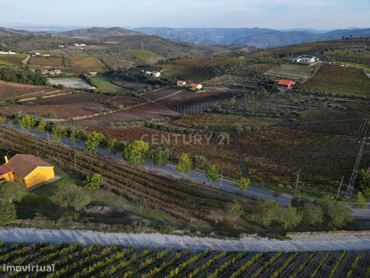 Quinta para Recuperar em Viseu - Oportunidade Única! - Grande imagem: 5/21