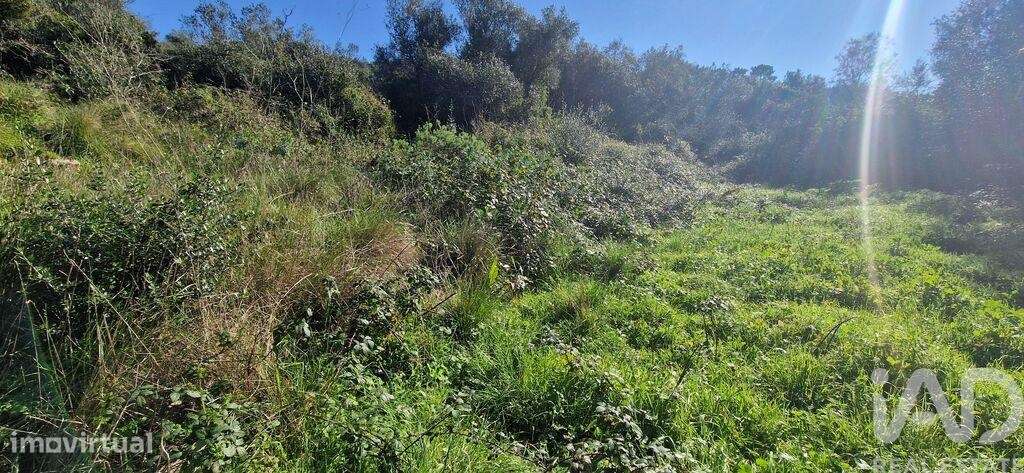 Terreno em Venda do Pinheiro e Santo Estêvão das Galés de 2125,00 m2 - Grande imagem: 5/13