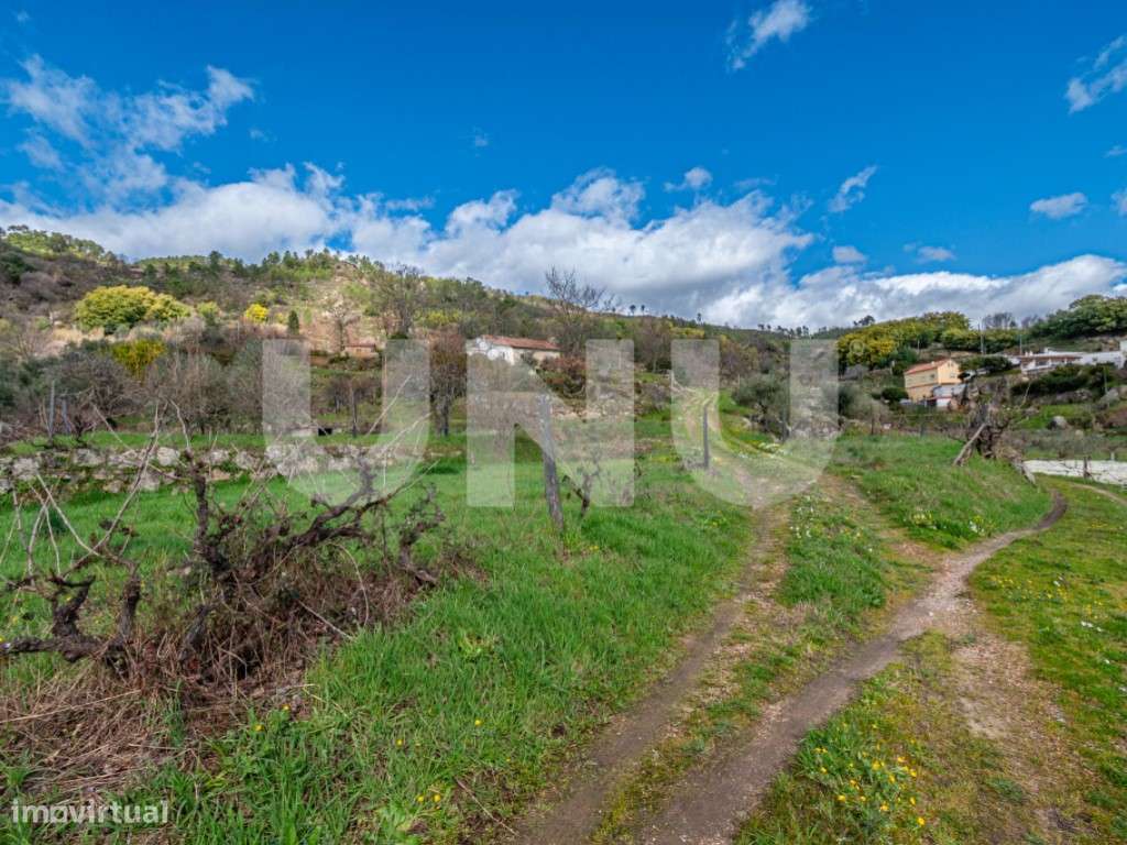 Quinta T2 com Habitação, Infraestruturas Agrícolas e Terreno com Vi...-44